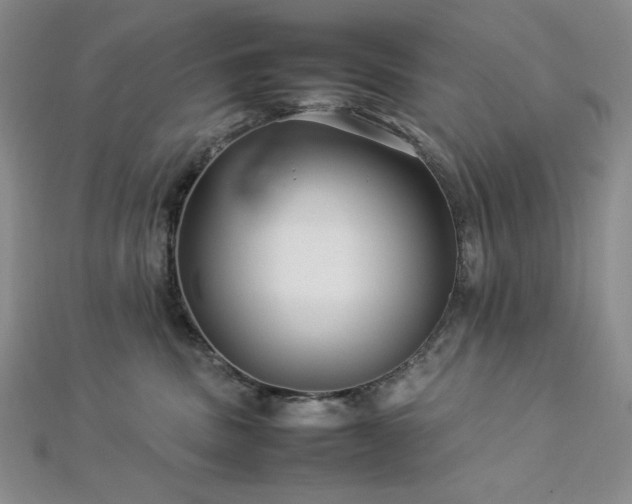 X0000113010379200908271414