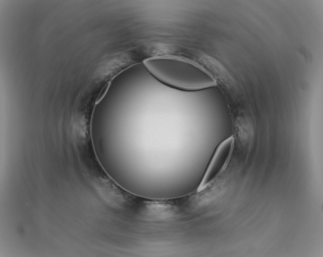 X0000113010380200908271414