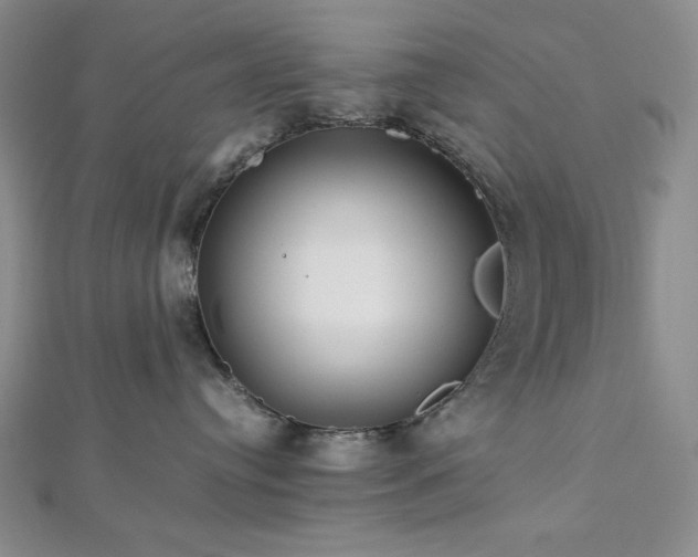 X0000113010384200908271414