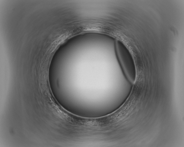 X0000113010385200908271413