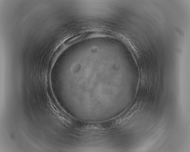 X0000113010386200908271413