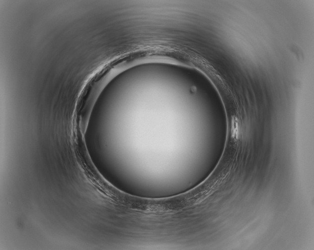 X0000113010388200908271413