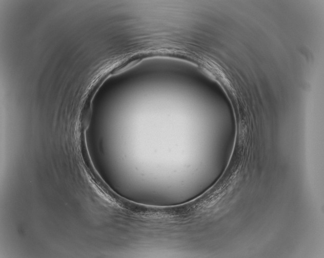 X0000113010389200908271413