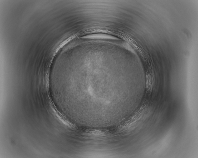 X0000113010390200908271413