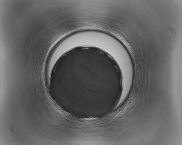 X0000113010391200908271413