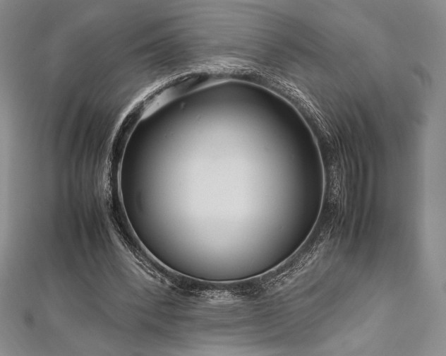 X0000113010392200908271413