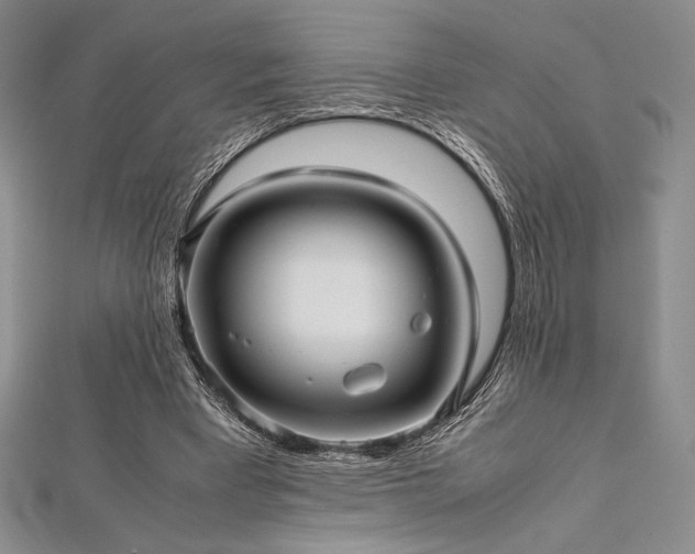 X0000113010393200908271413