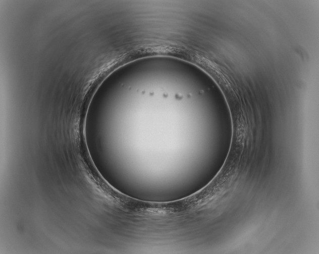 X0000113010394200908271413