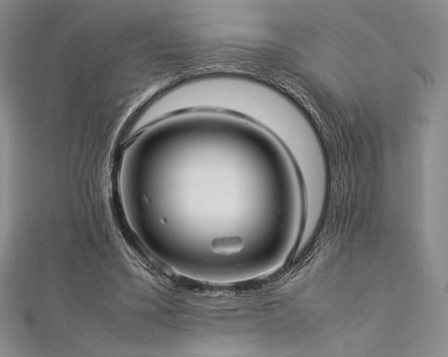 X0000113010395200908271413