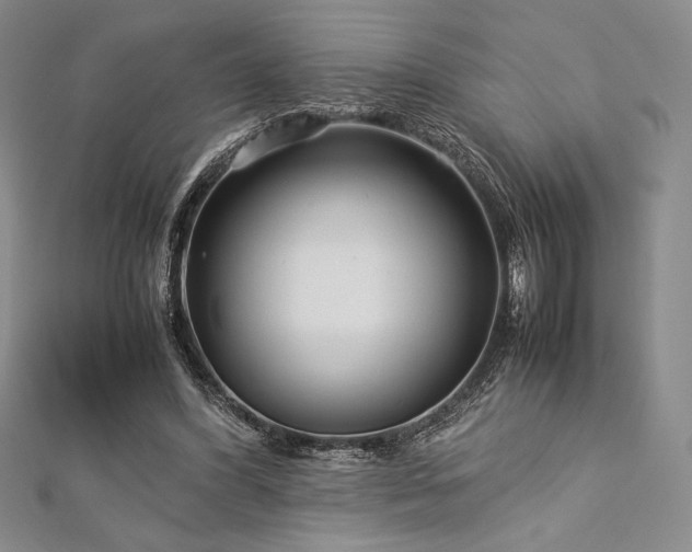 X0000113010396200908271413