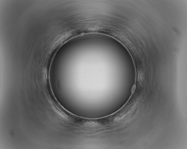 X0000113010397200908271413