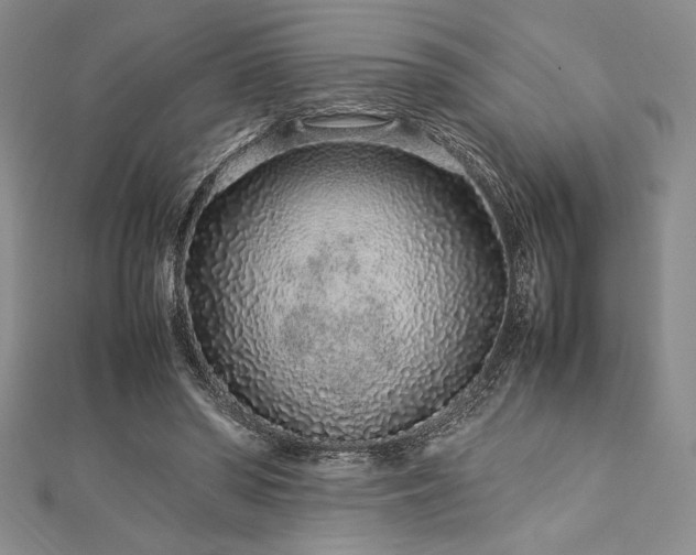 X0000113010398200908271413