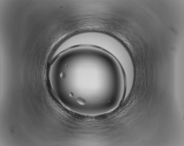 X0000113010399200908271413