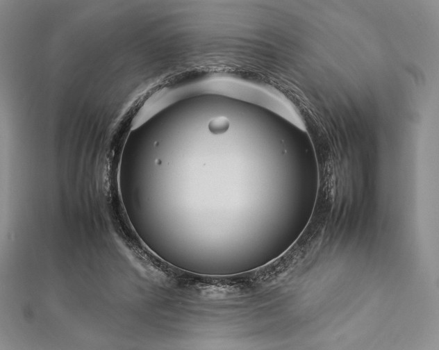 X0000113010400200908271413