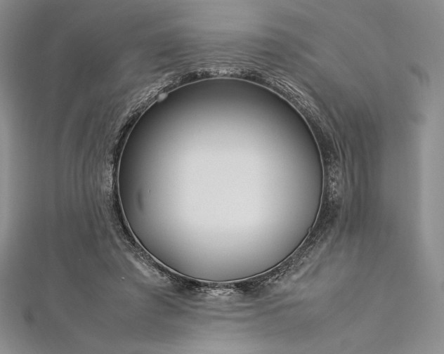 X0000113010401200908271413