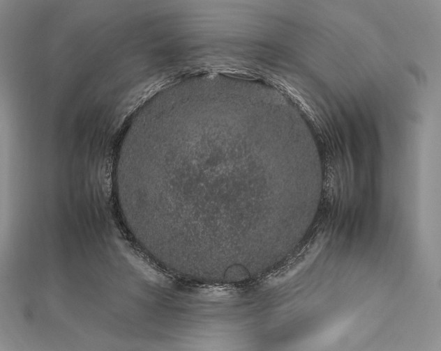 X0000113010402200908271413