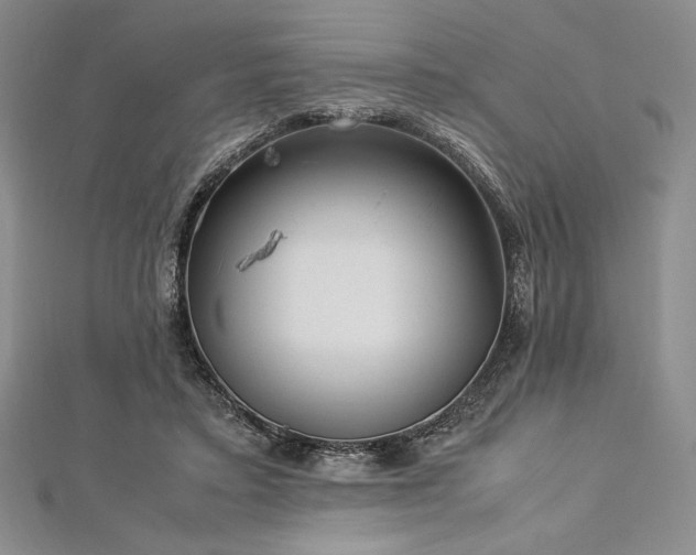 X0000113010403200908271413