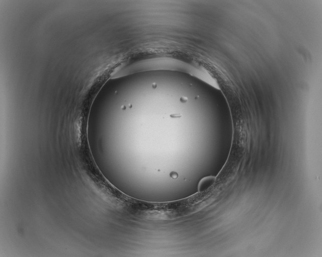 X0000113010404200908271413