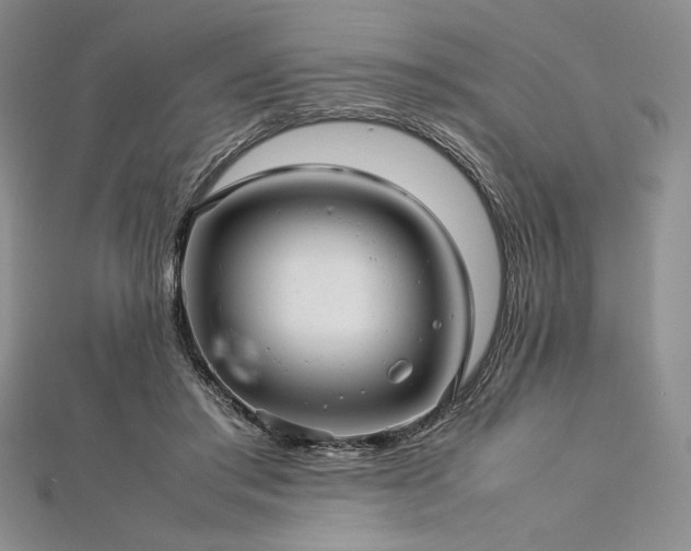 X0000113010405200908271413