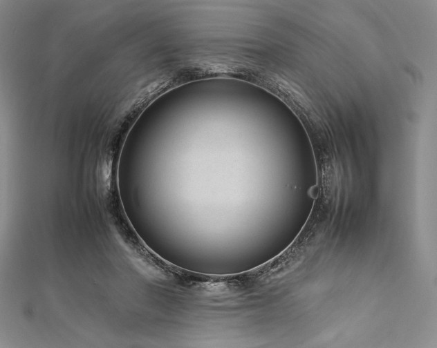 X0000113010406200908271413