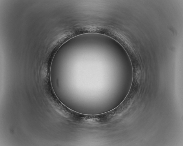 X0000113010407200908271413