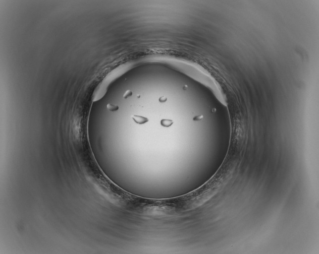 X0000113010408200908271413