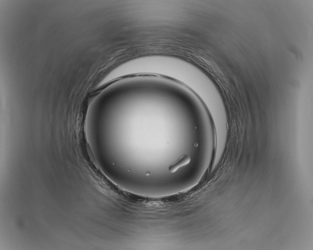 X0000113010409200908271413