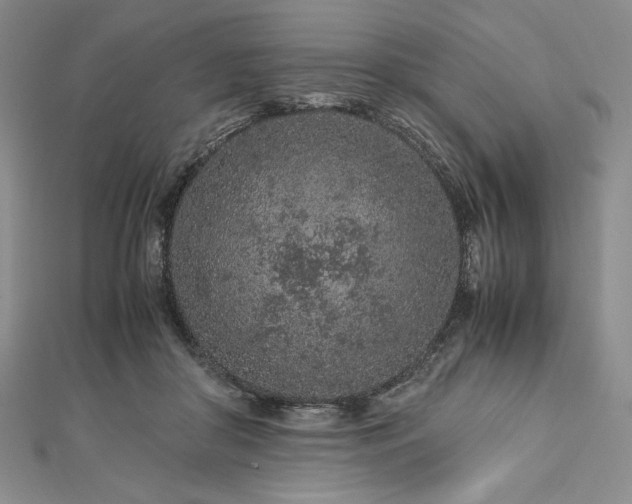 X0000113010410200908271413