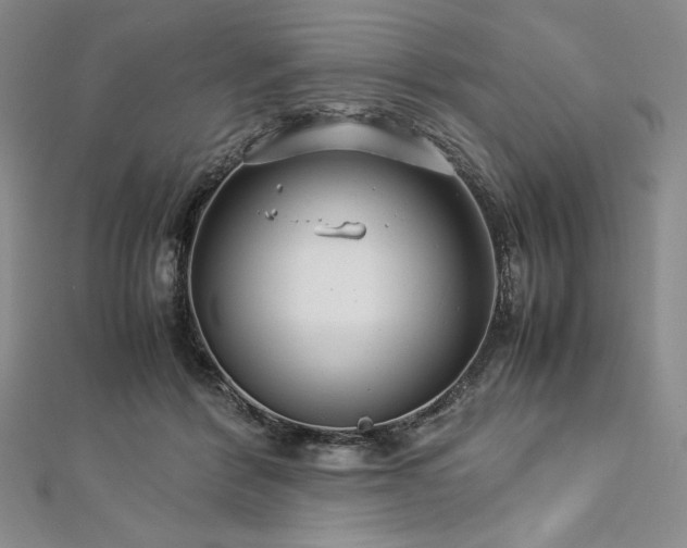 X0000113010412200908271413