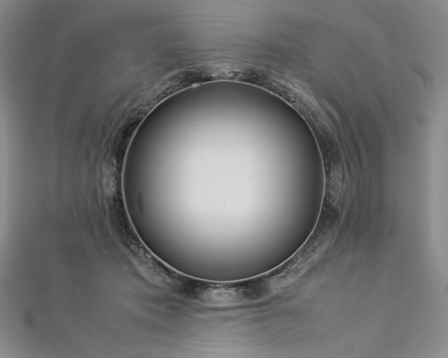 X0000113010413200908271413