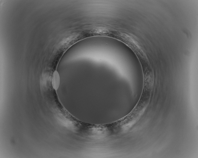 X0000113010415200908271413