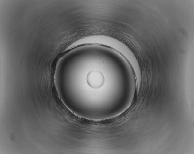 X0000113010416200908271413