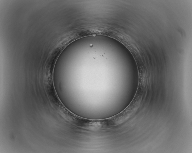 X0000113010418200908271413