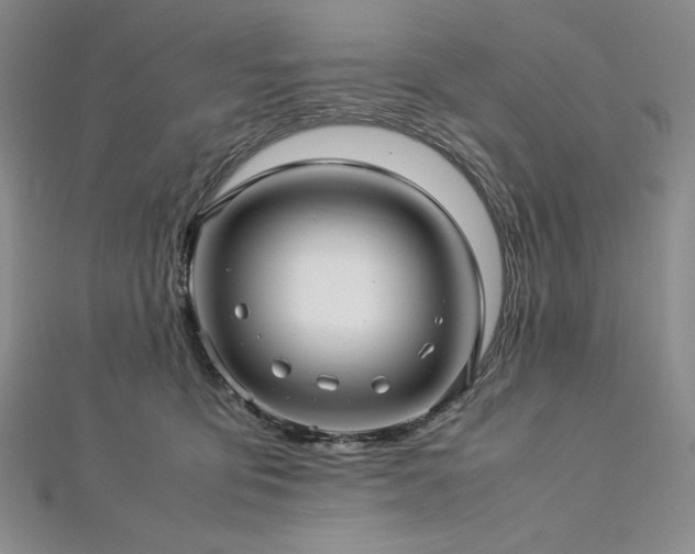 X0000113010419200908271413