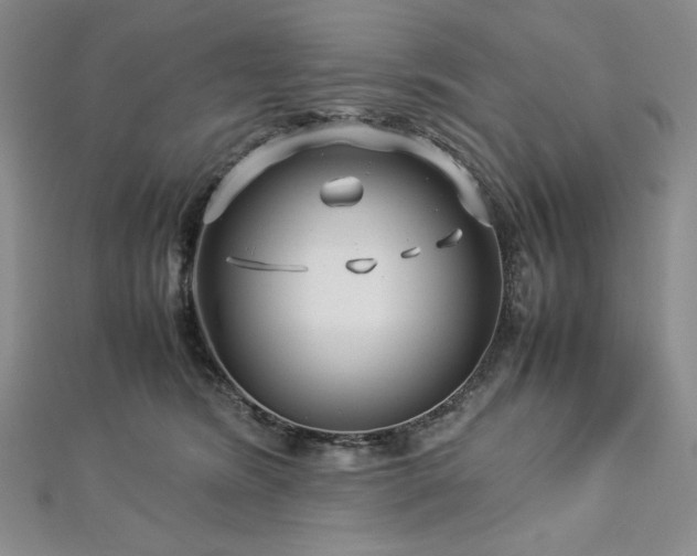 X0000113010420200908271413