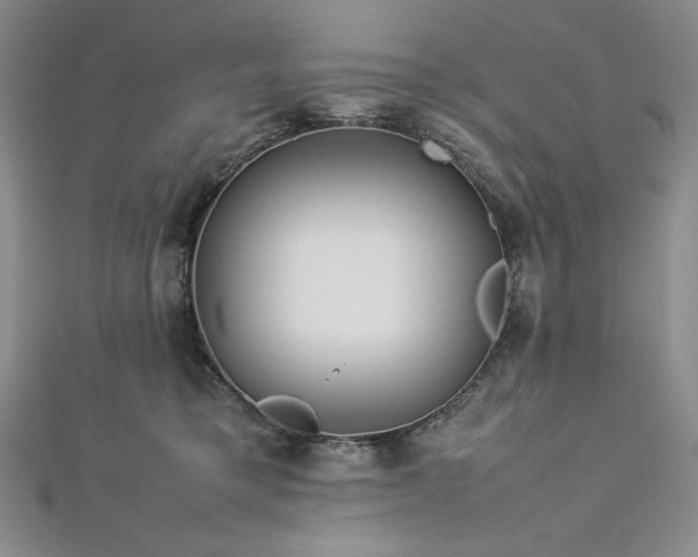 X0000113010421200908271413