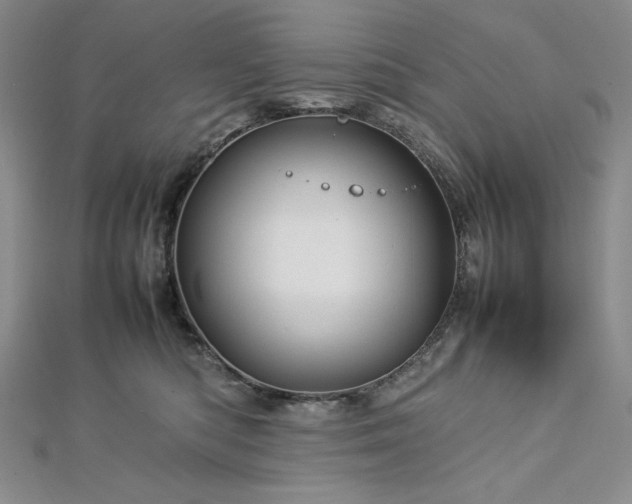 X0000113010422200908271413