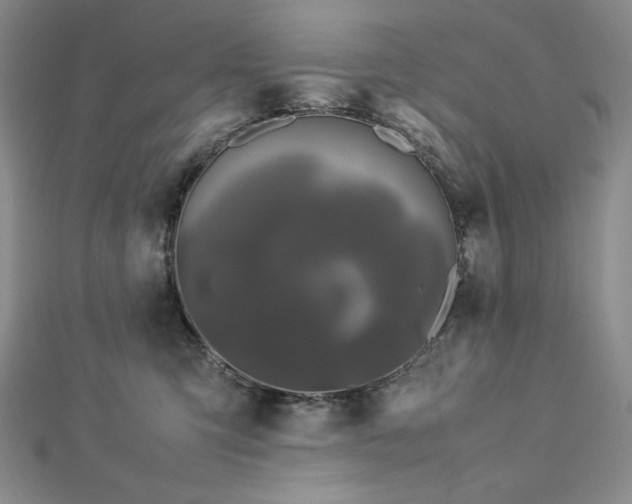 X0000113010423200908271413