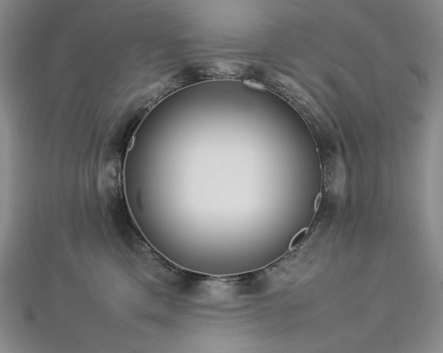 X0000113010425200908271413