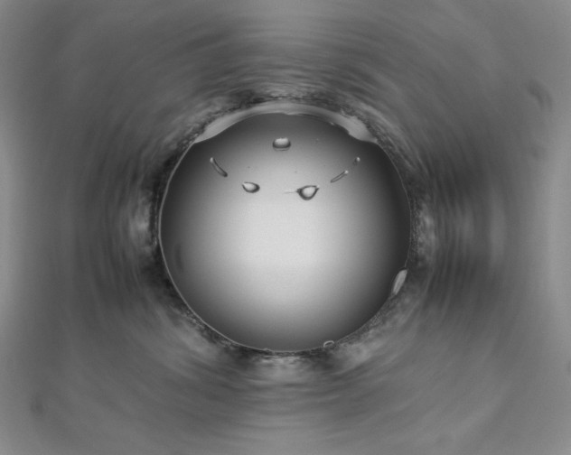 X0000113010428200908271413