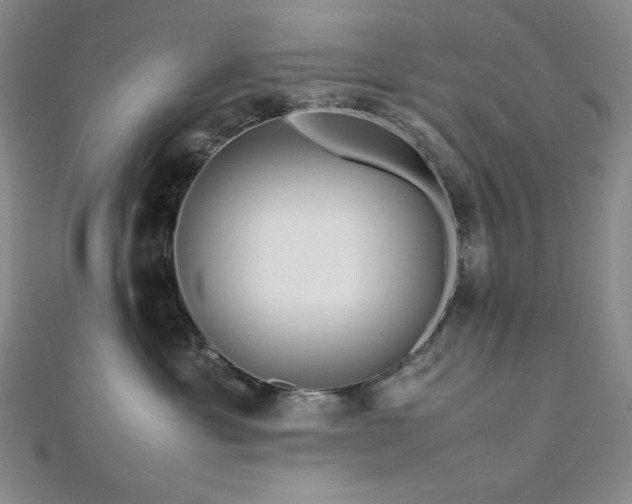 X0000113010429200908271413