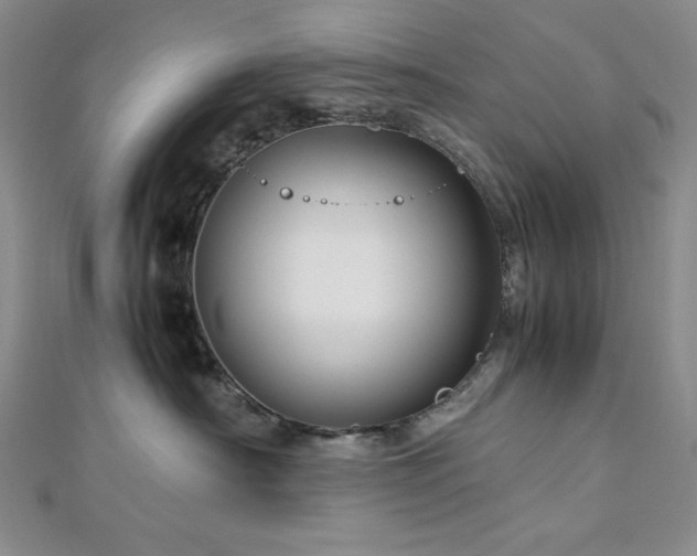 X0000113010430200908271413