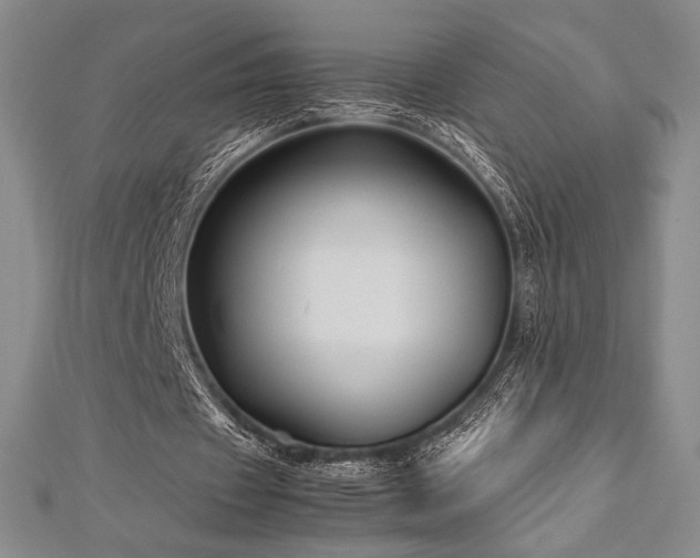 X0000113010433200908271412