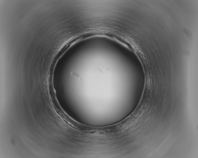 X0000113010434200908271412