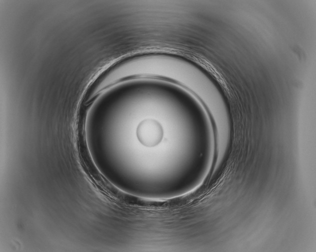 X0000113010436200908271412