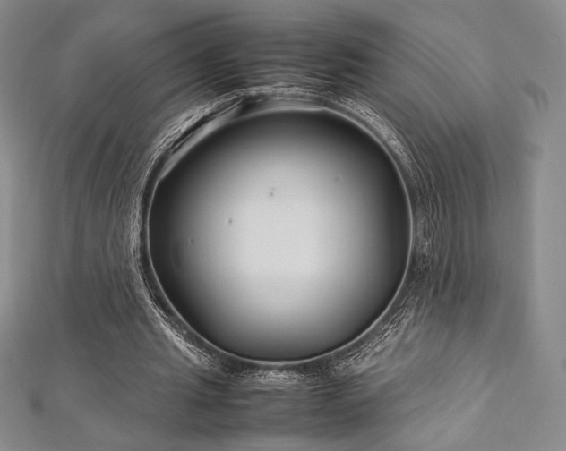 X0000113010437200908271412