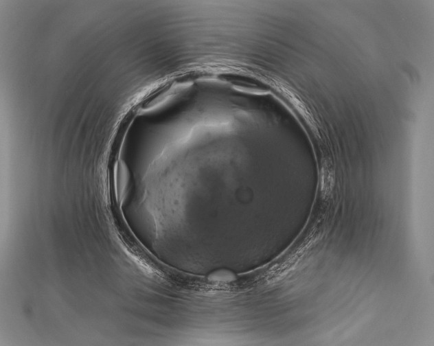 X0000113010438200908271412