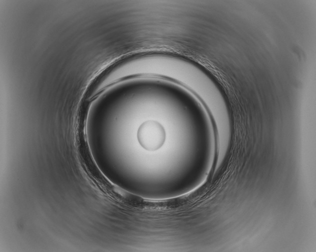 X0000113010440200908271412