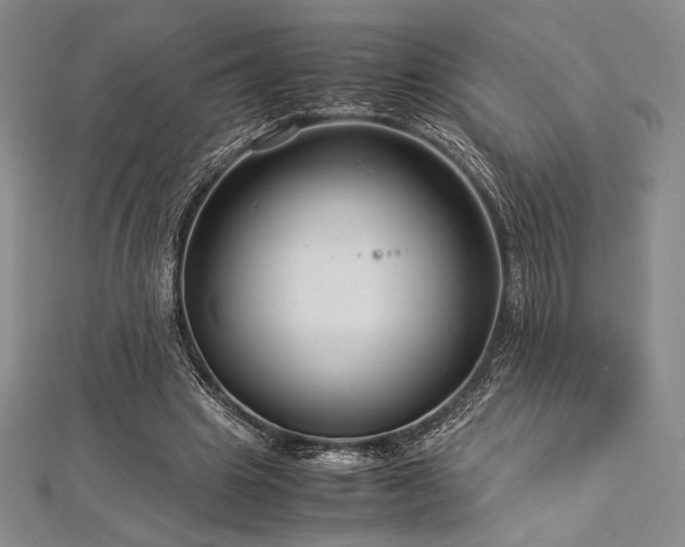 X0000113010441200908271412