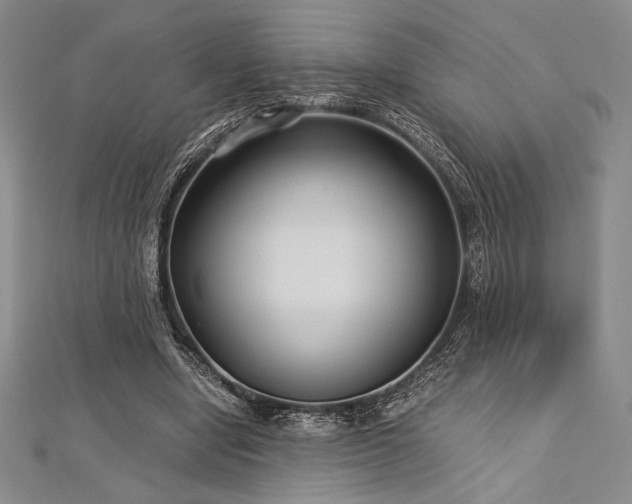 X0000113010442200908271412